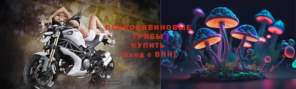 мет Алексин