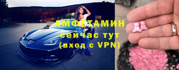 мет Алексин