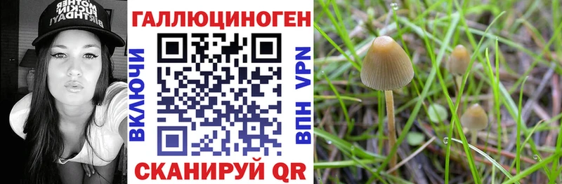 Галлюциногенные грибы прущие грибы  blacksprut сайт  Балашов 